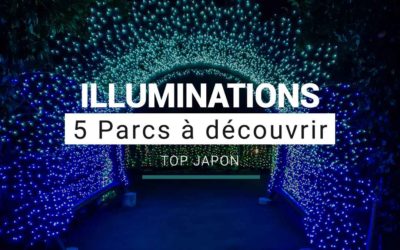 TOP 5 Parcs d’illuminations à Tokyo