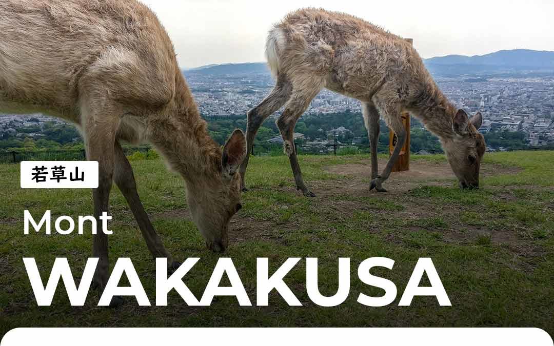 Le Mont Wakakusa, la randonnée à Nara
