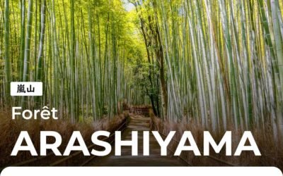 Arashiyama, la forêt de bambous et ses jardins