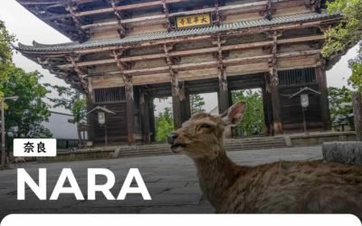 Nara : 1 journée pour découvrir la ville des cerfs