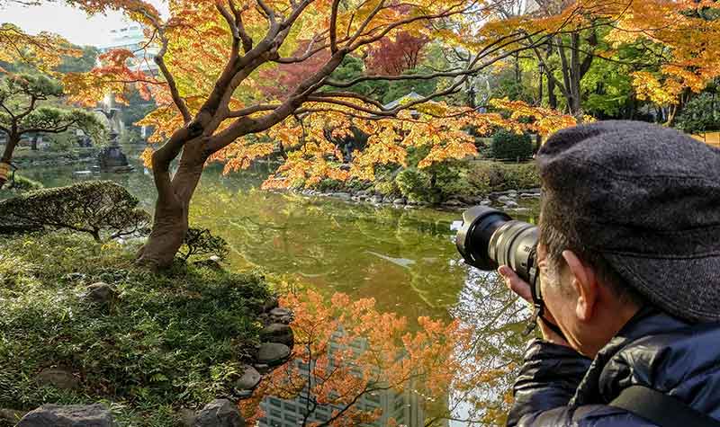 L'automne au parc Hibiya-kôen