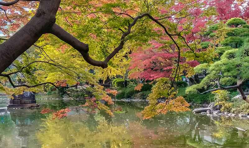 Les jolies couleurs d'automne au parc Hibiya-kôen