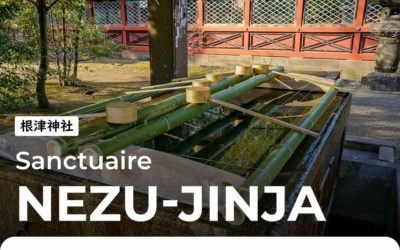 Nezu-jinja, le sanctuaire connu pour ses Azalées