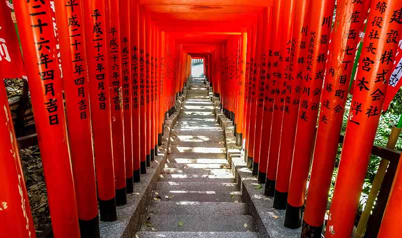 Tunnel de torii au sanctuaire Hie-jinja à Akasaka