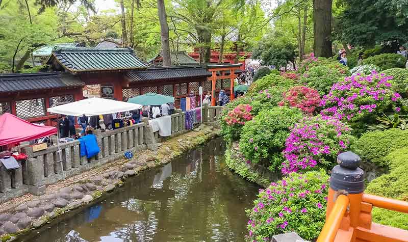sanctuaire-nezu-jinja-festival-azalees Festival des Azalées au sanctuaire Nezu-jinja à Bunkyo