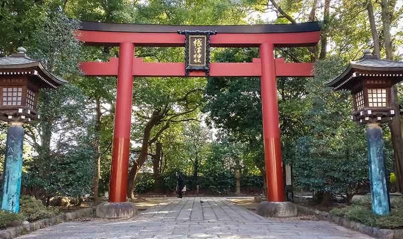 Torii à l'entrée du sanctuaire Nezu-jinja à Bunkyo