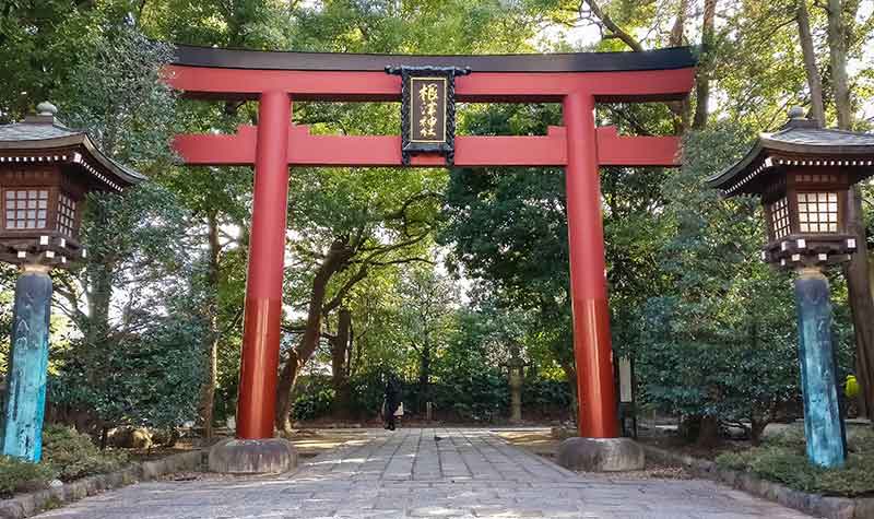 sanctuaire-nezu-jinja-torii-entree- Torii à l'entrée du sanctuaire Nezu-jinja à Bunkyo