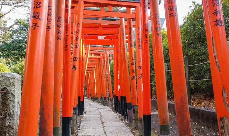 Tunnel de torii au sanctuaire Nezu-jinja