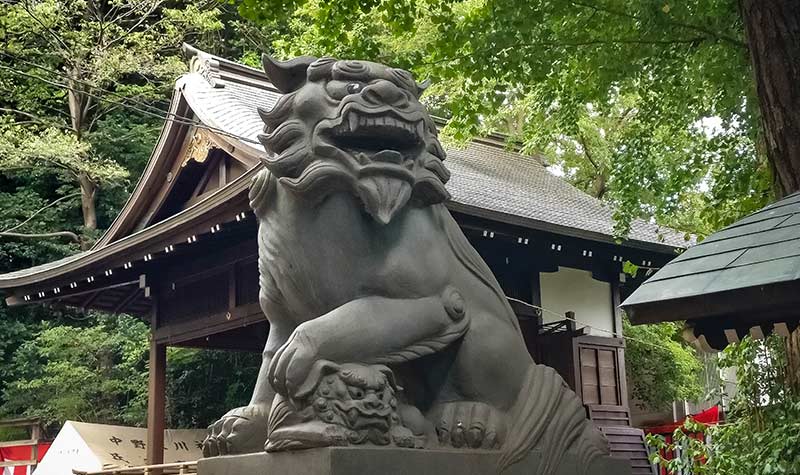 Komainu sanctuaire Hikawa Higashinakano