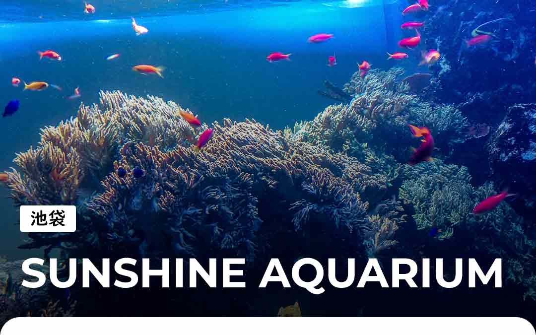 Sunshine Aquarium à Ikebukuro