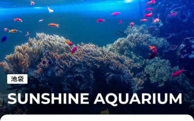 Sunshine Aquarium à Ikebukuro