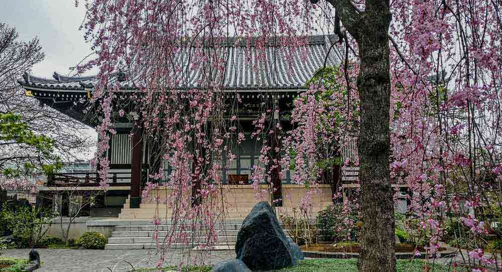 Temple au nord de Shinjuku