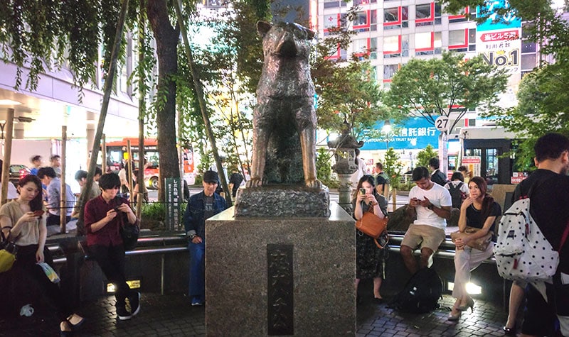 Guide Shibuya - Activité : statue chien Hachiko