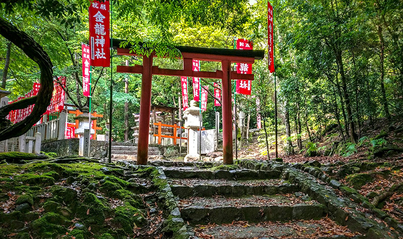 Guide Nara - Activité : sanctuaire Kasuga-Taisha - torii