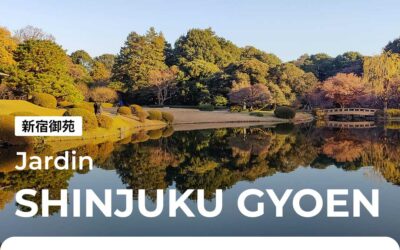 Shinjuku Gyoen, le jardin impérial de Tokyo