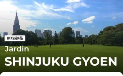 Shinjuku Gyoen, le jardin impérial de Tokyo