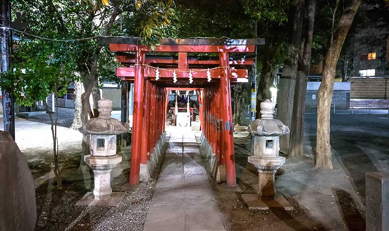 Guide sanctuaire Hanazono-jinja : tunnel de torii