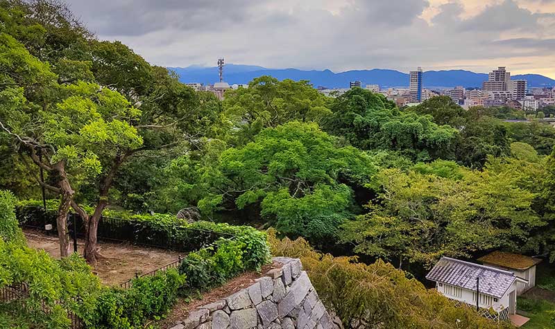 Château de Fukuoka - forêt
