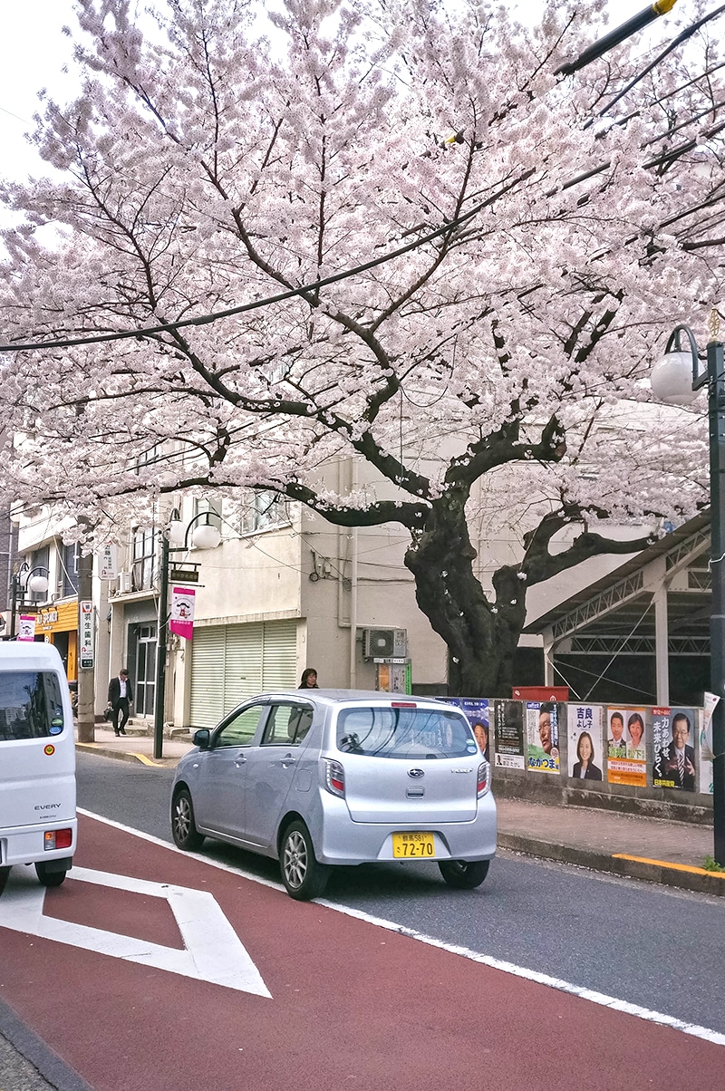 Dans les rues de Higashinakano