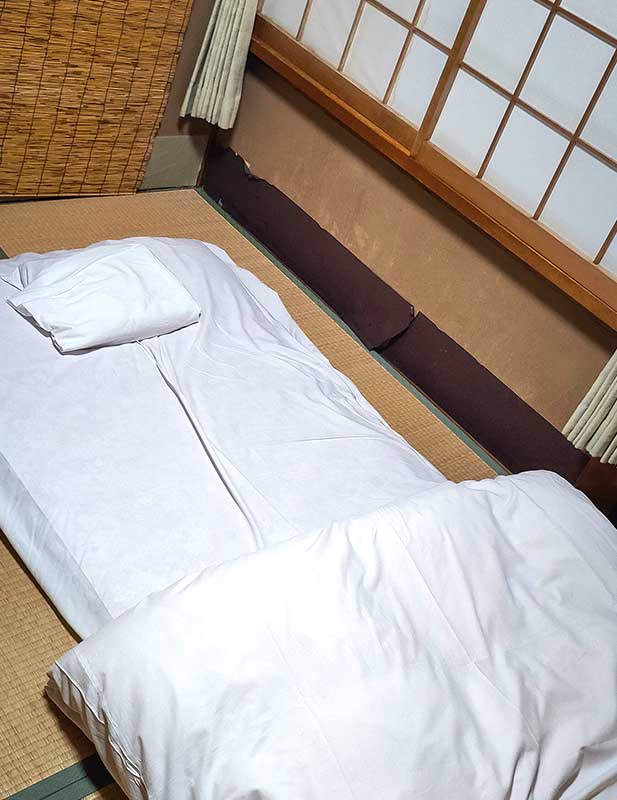 Avis de Daiya Ryokan - chambre