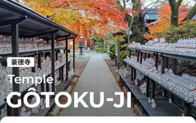 Gôtoku-ji, le temple aux milliers de maneki-neko