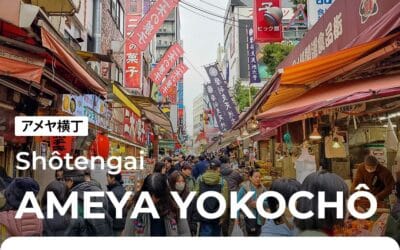 Ameya Yokochô, la rue commerçante populaire d’Ueno