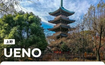 Ueno : le quartier entre nature et traditions à Tokyo