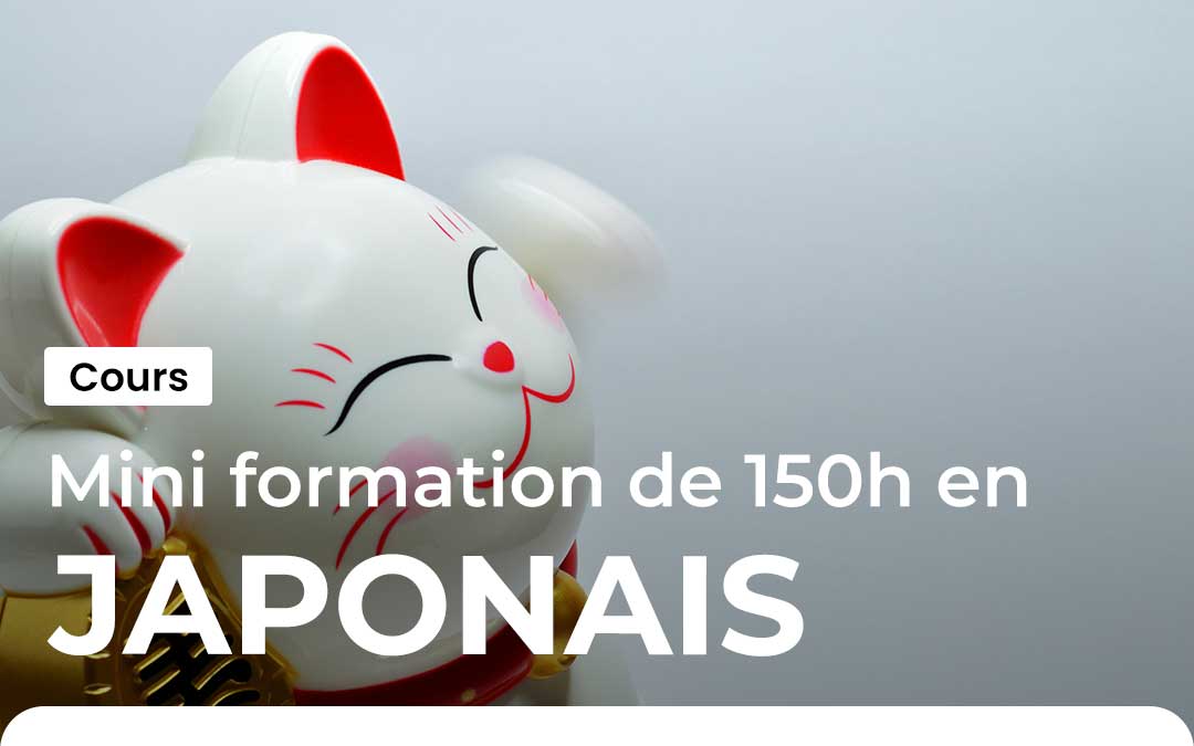 Mini formation de japonais : 150 heures pour bien débuter
